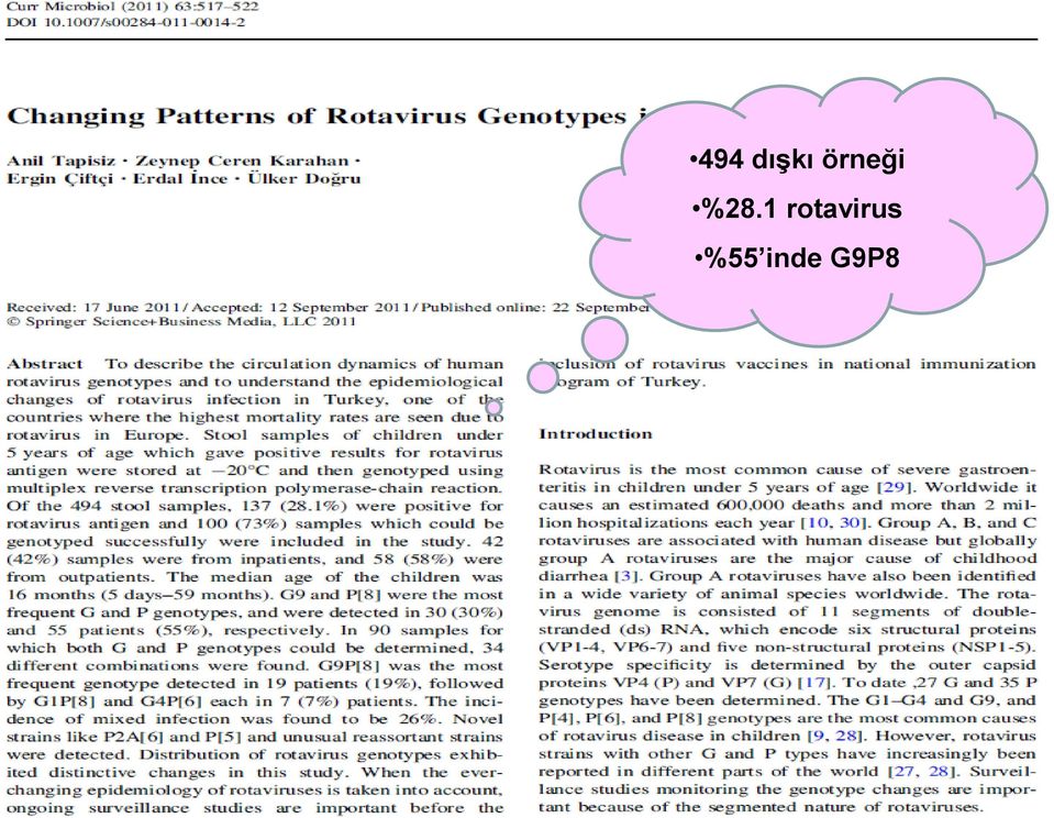 1 rotavirus