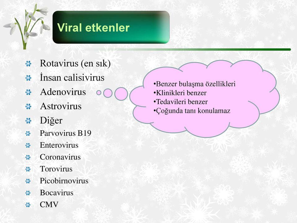 Coronavirus Torovirus Picobirnovirus Bocavirus CMV Benzer