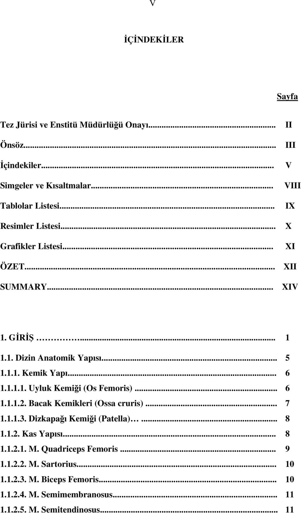 .. 6 1.1.1.2. Bacak Kemikleri (Ossa cruris)... 7 1.1.1.3. Dizkapağı Kemiği (Patella)... 8 1.1.2. Kas Yapısı... 8 1.1.2.1. M. Quadriceps Femoris... 9 1.