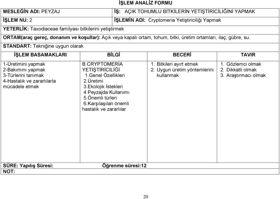 Taxodiaceae familyası bitkilerini yetiştirmek B.