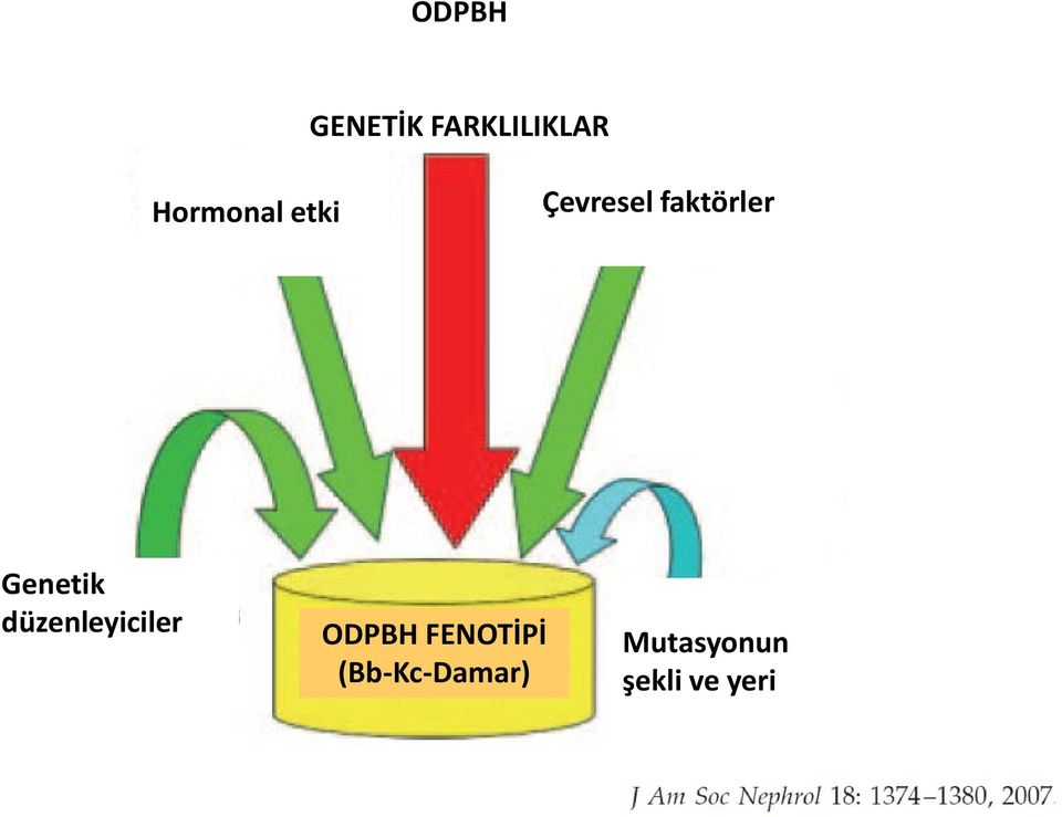 Genetik düzenleyiciler ODPBH