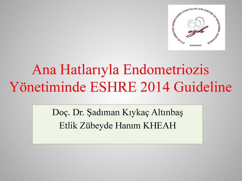 Guideline Doç. Dr.