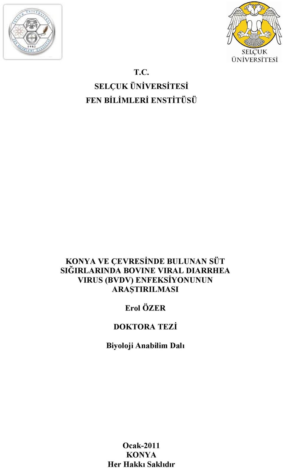 VIRUS (BVDV) ENFEKSİYONUNUN ARAŞTIRILMASI Erol ÖZER DOKTORA