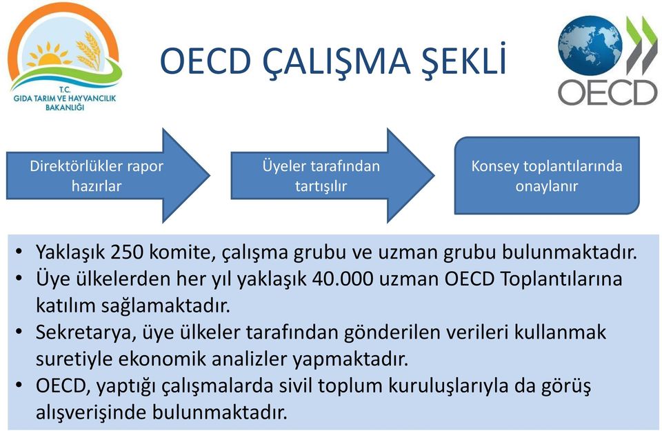 000 uzman OECD Toplantılarına katılım sağlamaktadır.