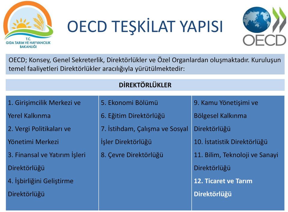 Vergi Politikaları ve Yönetimi Merkezi 3. Finansal ve Yatırım İşleri Direktörlüğü 4. İşbirliğini Geliştirme Direktörlüğü 5. Ekonomi Bölümü 6.