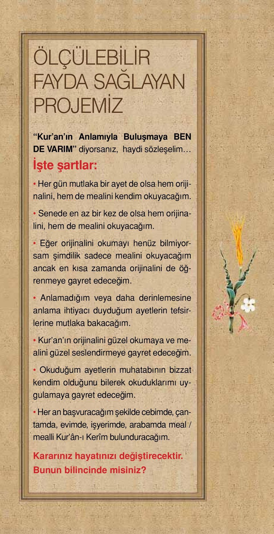 Eğer orijinalini okumayı henüz bilmiyorsam şimdilik sadece mealini okuyacağım ancak en kısa zamanda orijinalini de öğrenmeye gayret edeceğim.