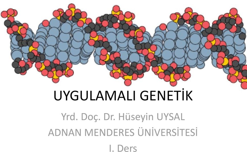 Hüseyin UYSAL ADNAN