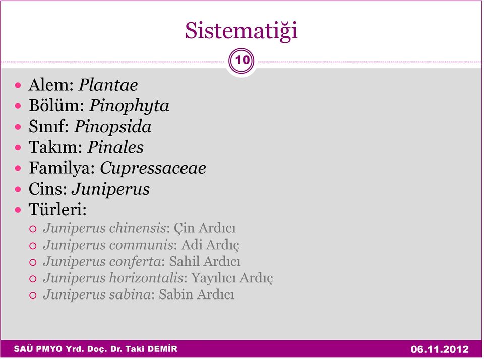 chinensis: Çin Ardıcı Juniperus communis: Adi Ardıç Juniperus conferta: