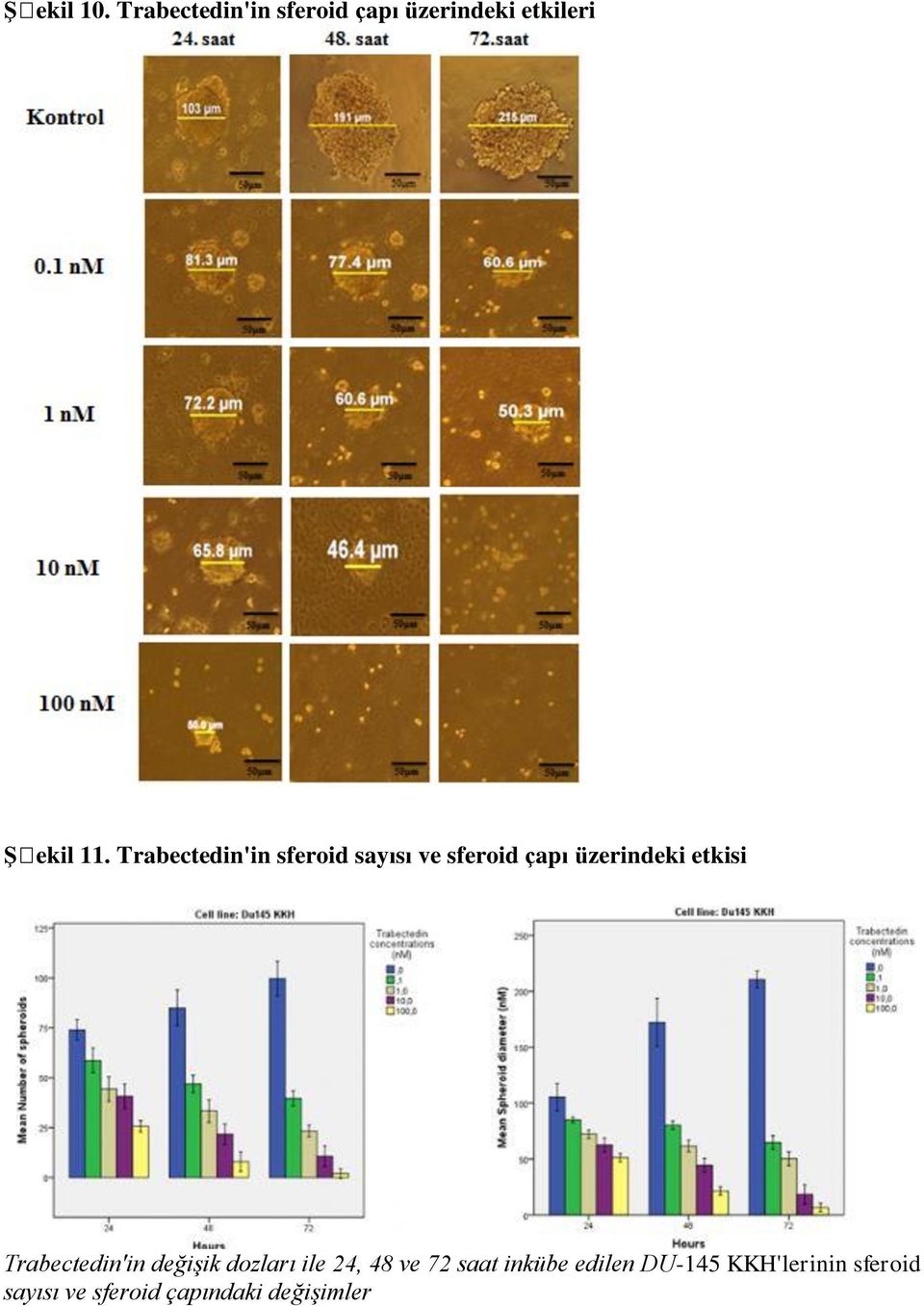 Trabectedin'in sferoid sayısı ve sferoid çapı üzerindeki etkisi