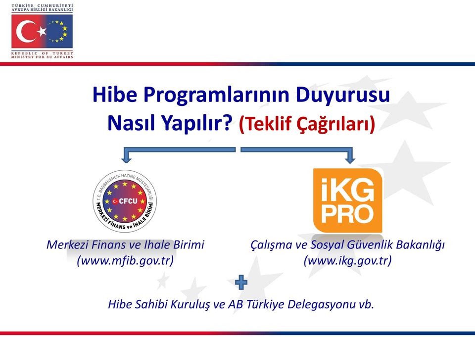 (www.mfib.gov.