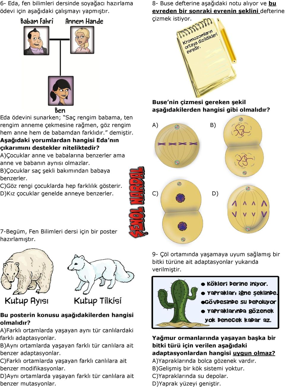 Aşağıdaki yorumlardan hangisi Eda nın çıkarımını destekler niteliktedir? A)Çocuklar anne ve babalarına benzerler ama anne ve babanın aynısı olmazlar. B)Çocuklar saç şekli bakımından babaya benzerler.