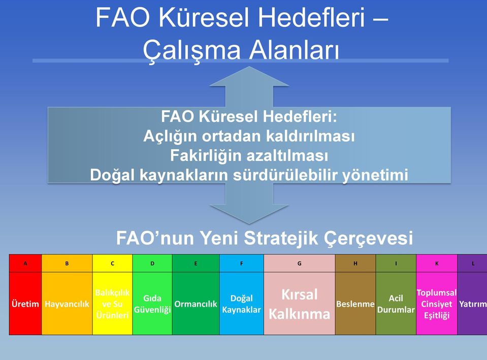 Çerçevesi A B C D E F G H I K L Üretim Hayvancılık Balıkçılık ve Su Ürünleri Gıda Güvenliği