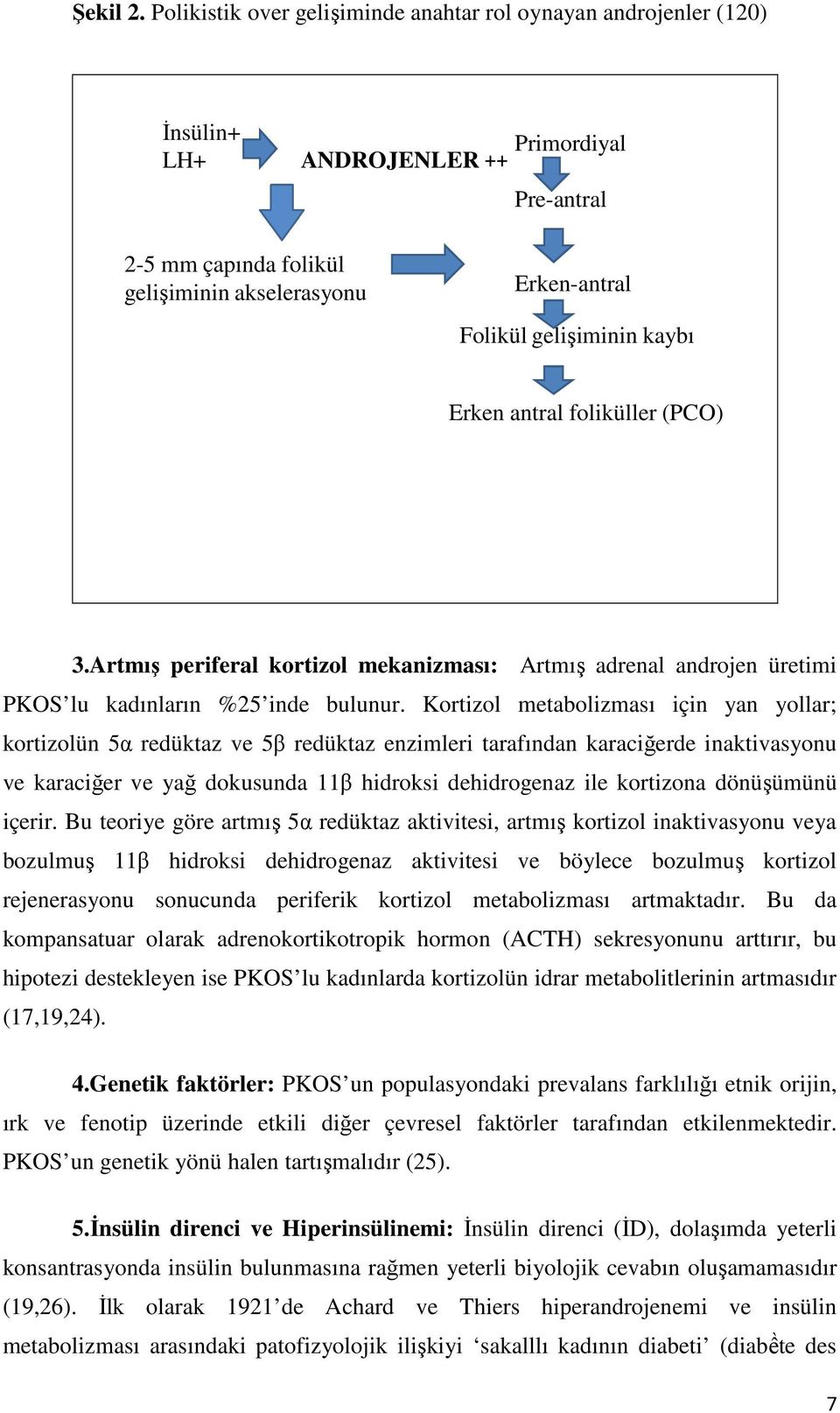 kaybı Erken antral foliküller (PCO) 3.Artmış periferal kortizol mekanizması: Artmış adrenal androjen üretimi PKOS lu kadınların %25 inde bulunur.