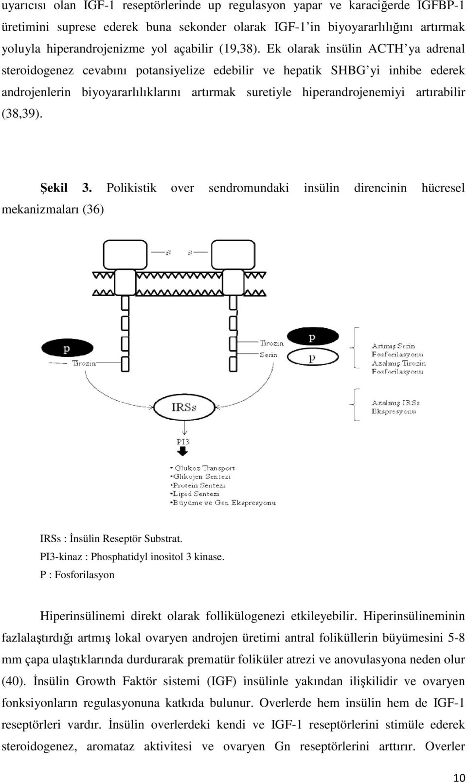 Ek olarak insülin ACTH ya adrenal steroidogenez cevabını potansiyelize edebilir ve hepatik SHBG yi inhibe ederek androjenlerin biyoyararlılıklarını artırmak suretiyle hiperandrojenemiyi artırabilir