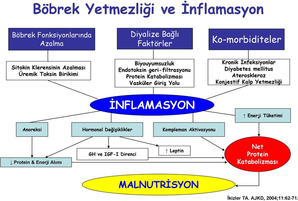 İnfeksiyonlar Diyabetes mellitus Ateroskleroz Konjestif Kalp Yetmezliği İNFLAMASYON Enerji Tüketimi Anoreksi Hormonal