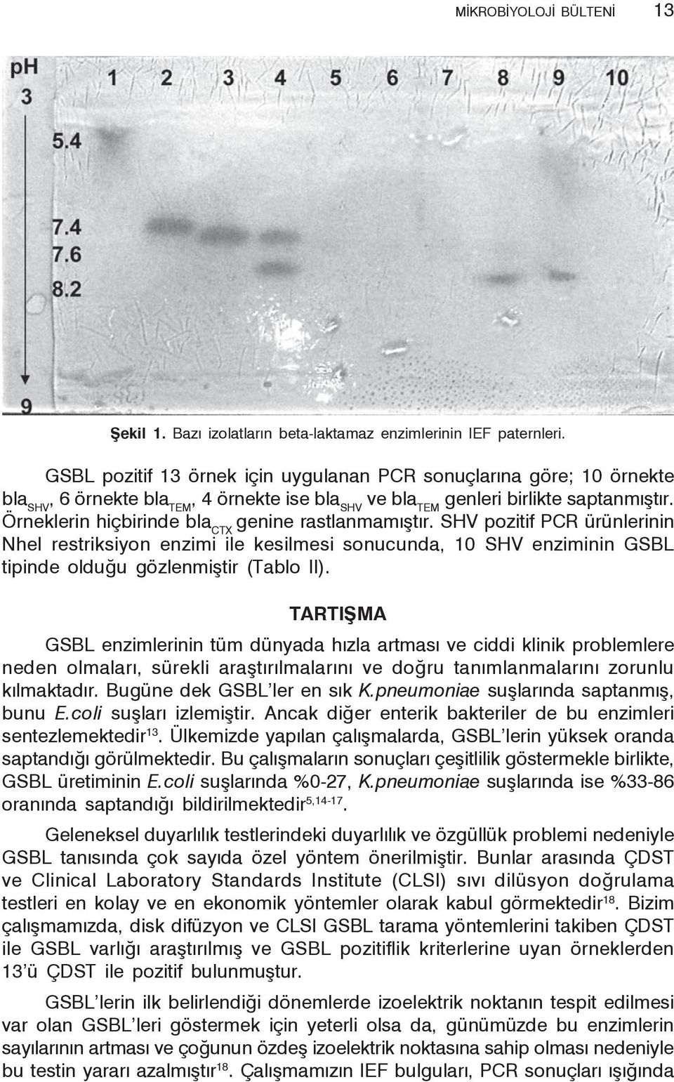 Örneklerin hiçbirinde bla CTX genine rastlanmamıştır. SHV pozitif PCR ürünlerinin NheI restriksiyon enzimi ile kesilmesi sonucunda, 10 SHV enziminin GSBL tipinde olduğu gözlenmiştir (Tablo II).