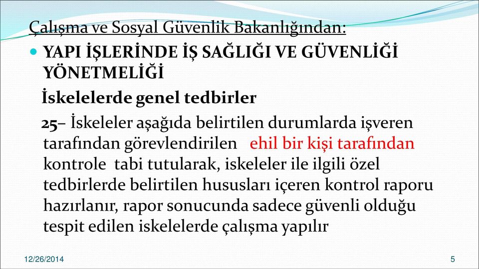 tarafından kontrole tabi tutularak, iskeleler ile ilgili özel tedbirlerde belirtilen hususları içeren