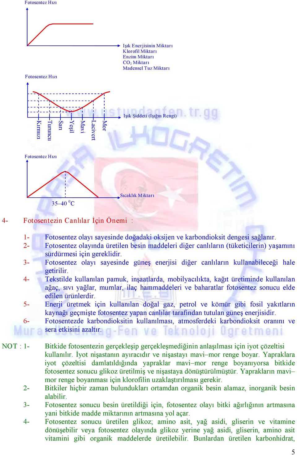 2 Fotosentez olayında üretilen besin maddeleri diğer canlıların (tüketicilerin) yaşamını sürdürmesi için gereklidir.