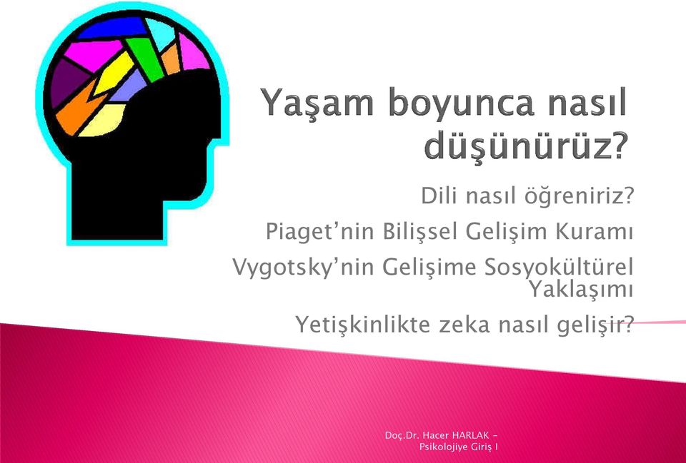 Vygotsky nin Gelişime Sosyokültürel