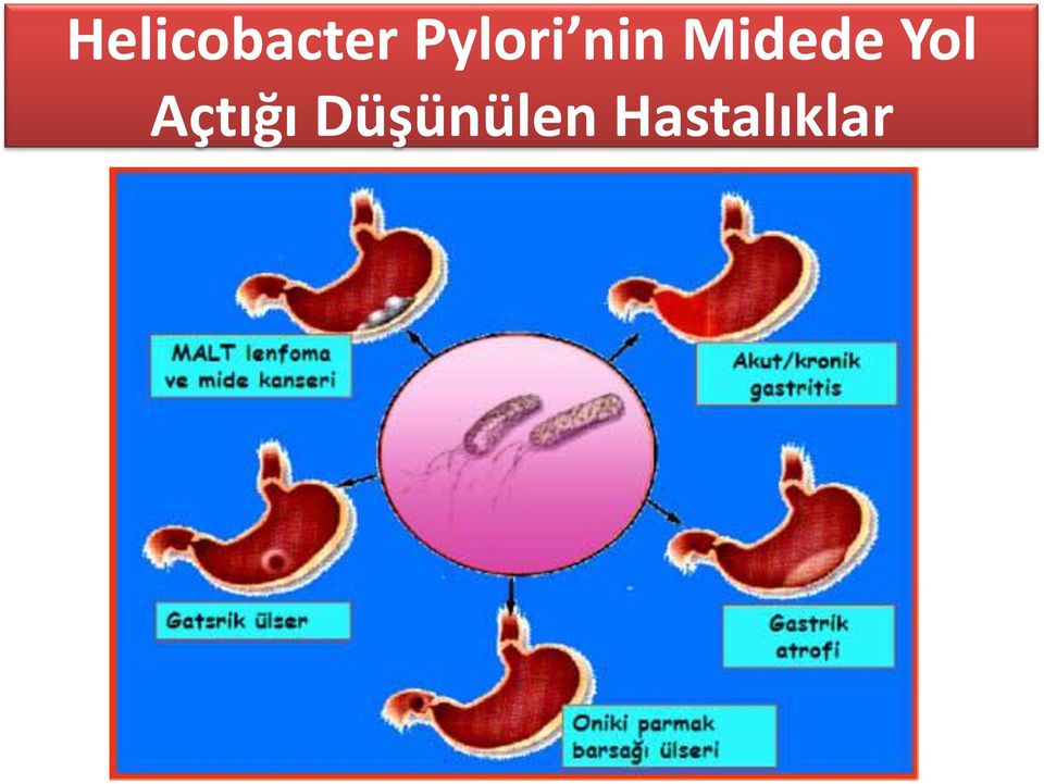 Midede Yol