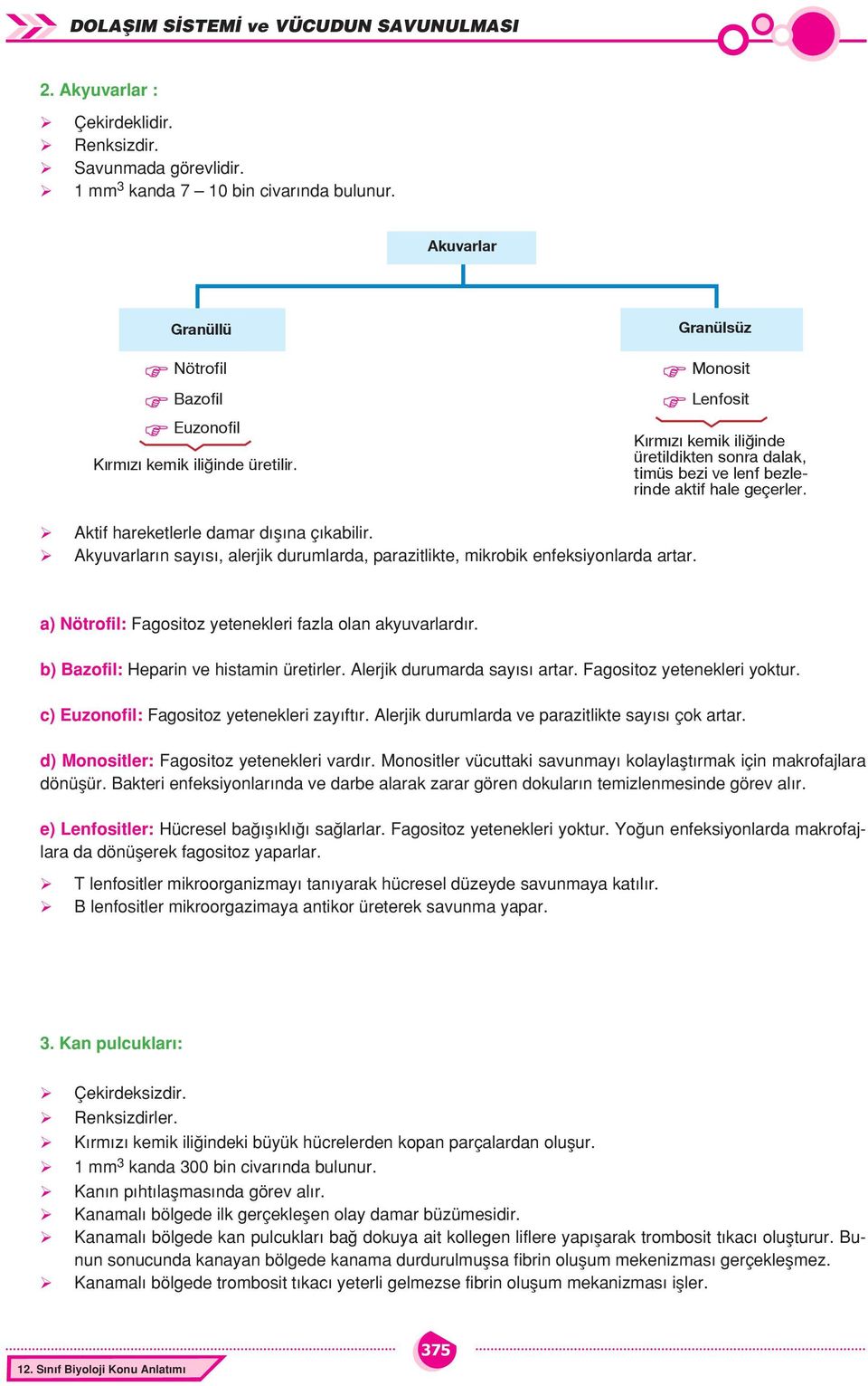 Akyuvarların sayısı, alerjik durumlarda, parazitlikte, mikrobik enfeksiyonlarda artar. a) Nötrofil: Fagositoz yetenekleri fazla olan akyuvarlardır. b) Bazofil: Heparin ve histamin üretirler.