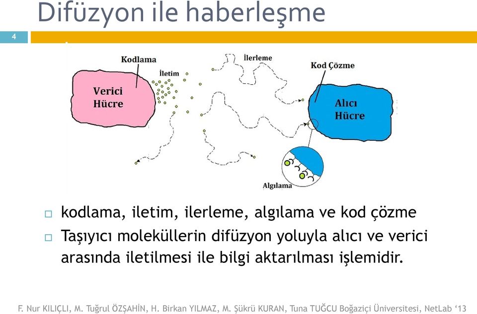 moleküllerin difüzyon yoluyla alıcı ve verici