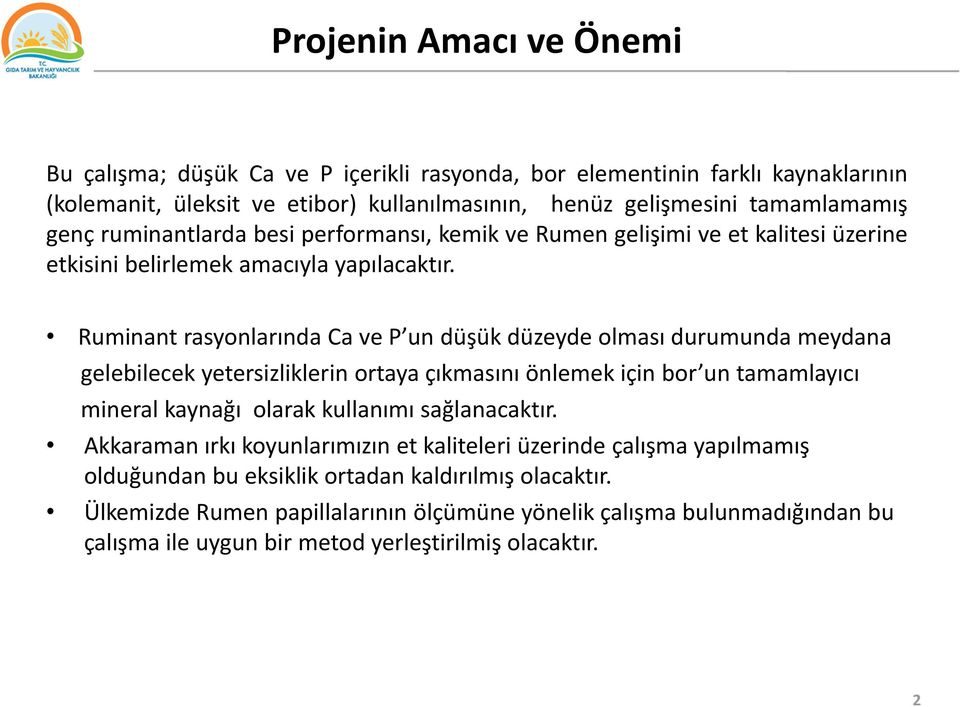 Ruminant rasyonlarında Ca ve P un düşük düzeyde olması durumunda meydana gelebilecek yetersizliklerin ortaya çıkmasını önlemek için bor un tamamlayıcı mineral kaynağı olarak kullanımı