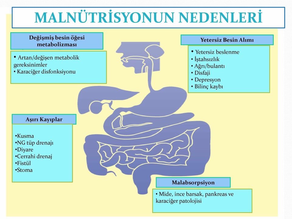 besin öğesi