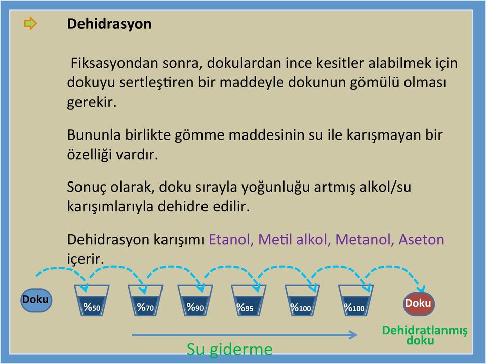 Sonuç olarak, doku sırayla yoğunluğu artmış alkol/su karışımlarıyla dehidre edilir.