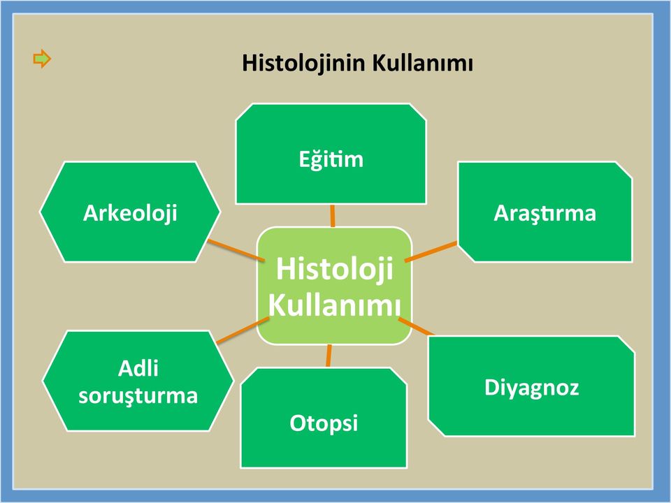 Adli soruşturma