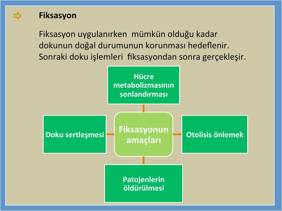 Sonraki doku işlemleri fiksasyondan sonra gerçekleşir.