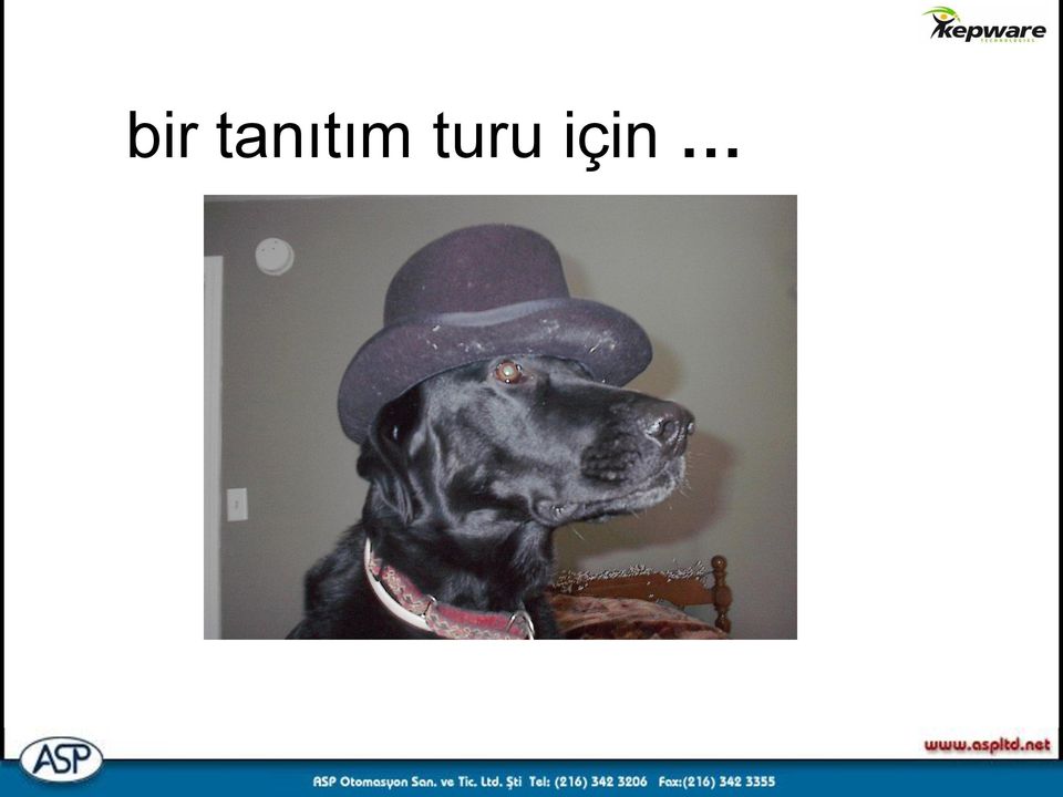 turu için