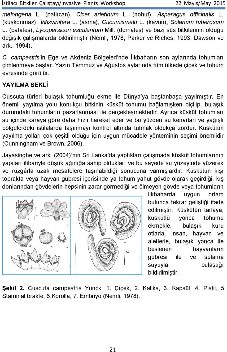 campestris in Ege ve Akdeniz Bölgeleri nde İlkbaharın son aylarında tohumları çimlenmeye başlar. Yazın Temmuz ve Ağustos aylarında tüm ülkede çiçek ve tohum evresinde görülür.