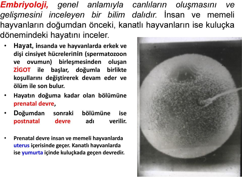 Hayat, insanda ve hayvanlarda erkek ve dişi cinsiyet hücrelerinin (spermatozoon ve ovumun) birleşmesinden oluşan ZİGOT ile başlar, doğumla birlikte koşullarını