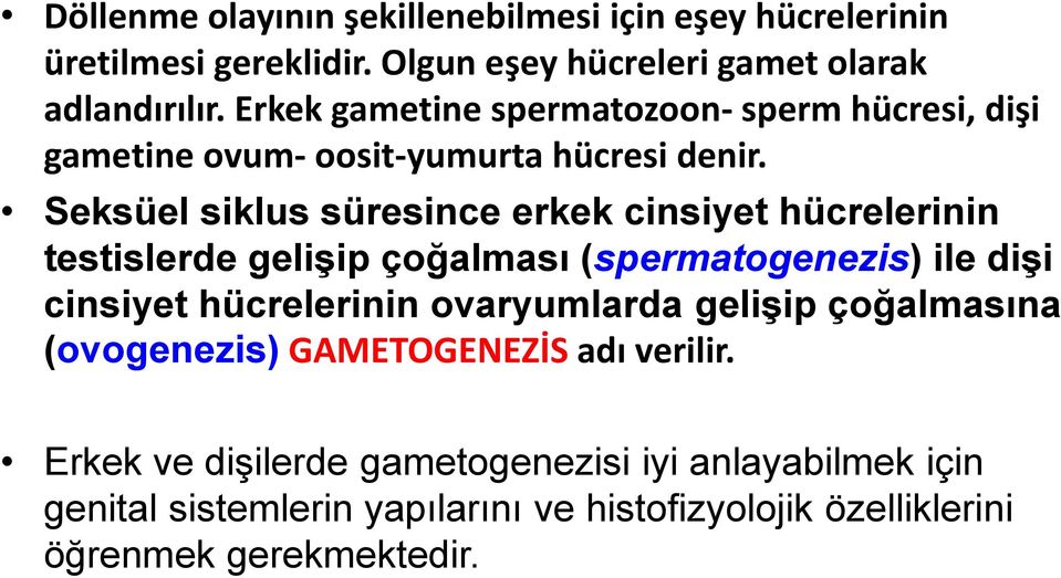 Seksüel siklus süresince erkek cinsiyet hücrelerinin testislerde gelişip çoğalması (spermatogenezis) ile dişi cinsiyet hücrelerinin