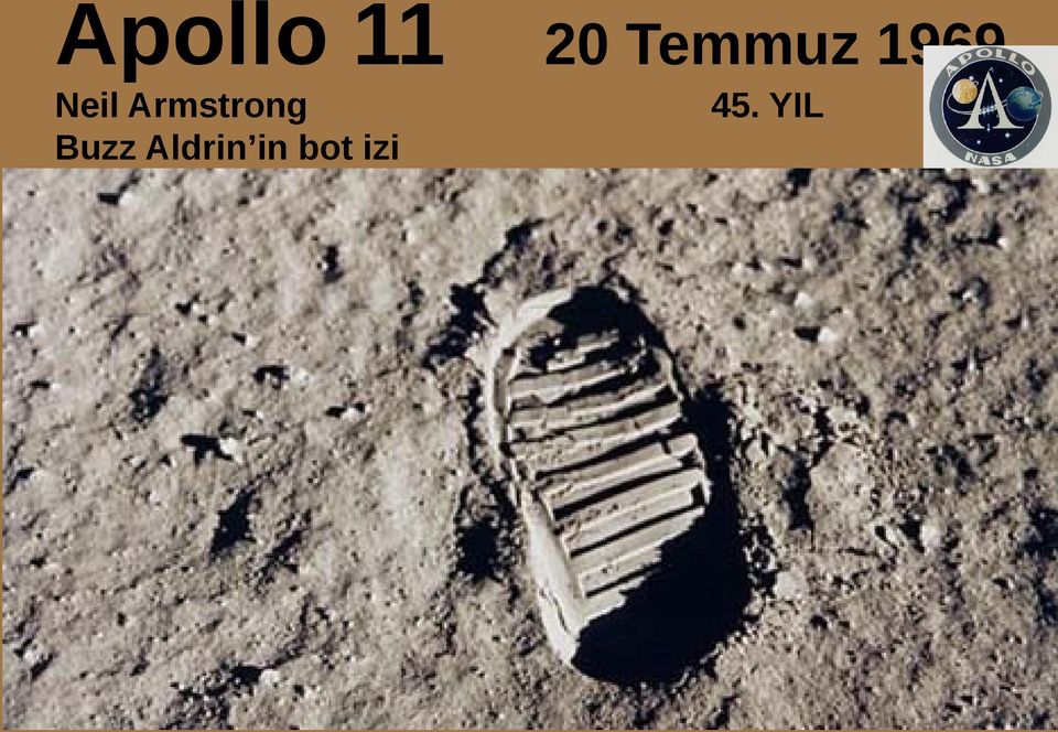 Aldrin in bot izi