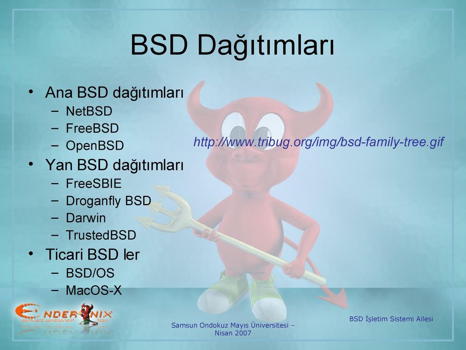 Droganfly BSD Darwin TrustedBSD Ticari BSD ler