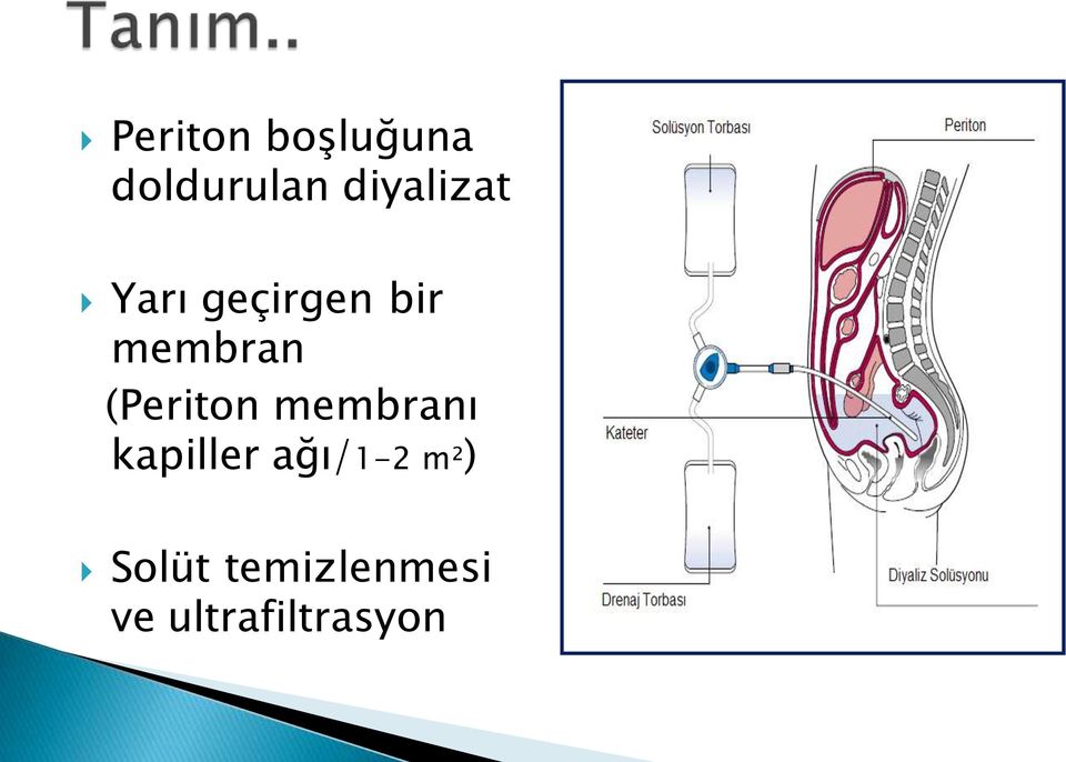 (Periton membranı kapiller ağı/1-2