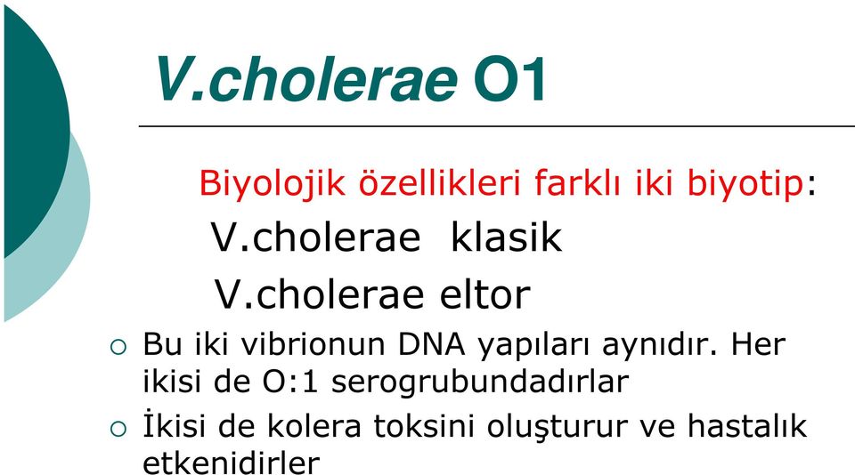 cholerae eltor Bu iki vibrionun DNA yapıları aynıdır.