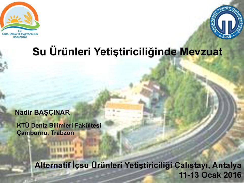 Çamburnu, Trabzon Alternatif İçsu Ürünleri