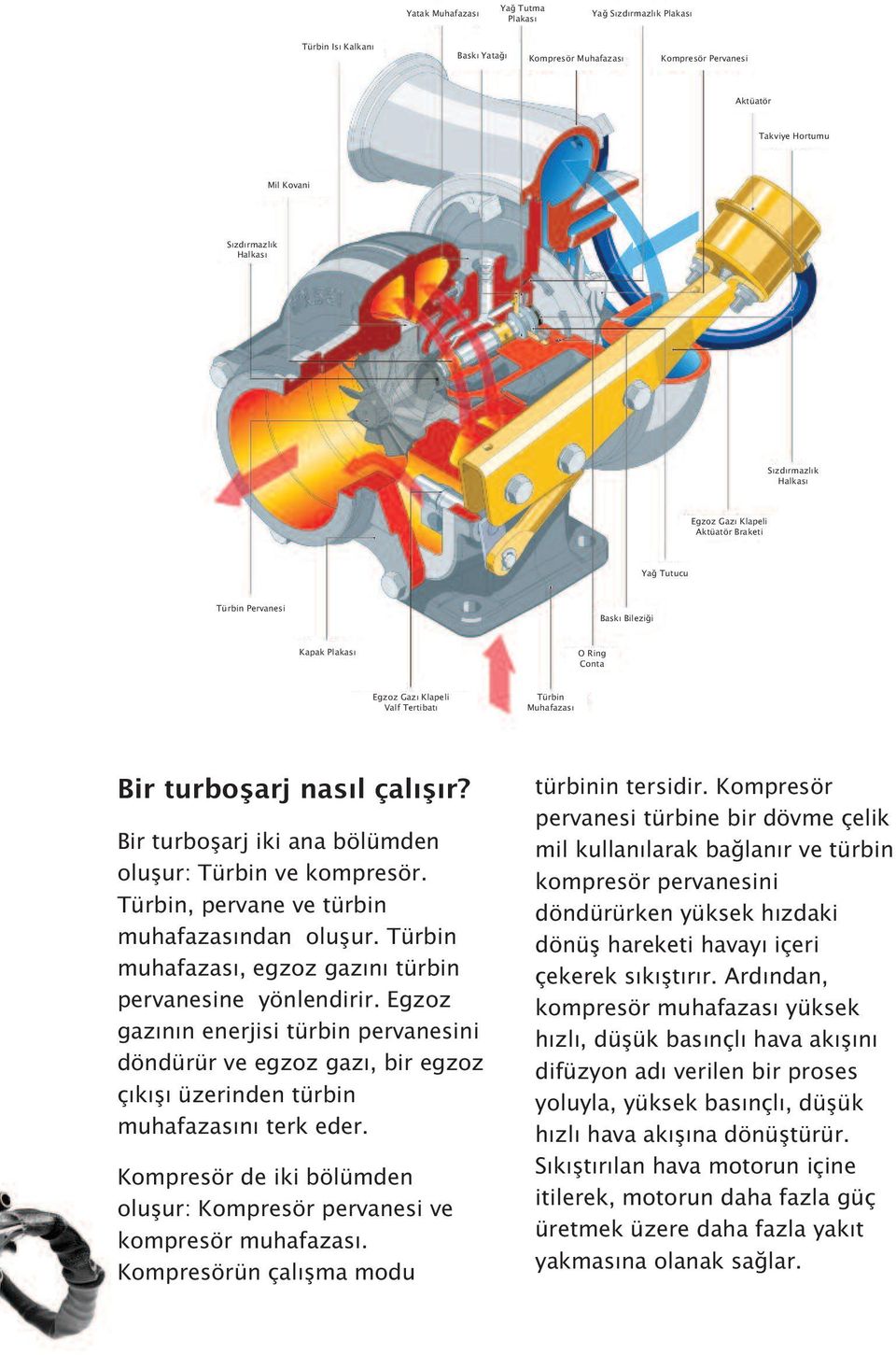 çalışır? Bir turboşarj iki ana bölümden oluşur: Türbin ve kompresör. Türbin, pervane ve türbin muhafazasından oluşur. Türbin muhafazası, egzoz gazını türbin pervanesine yönlendirir.