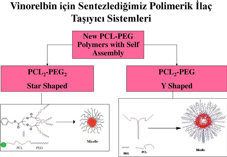 New PCL-PEG Polymers with Self