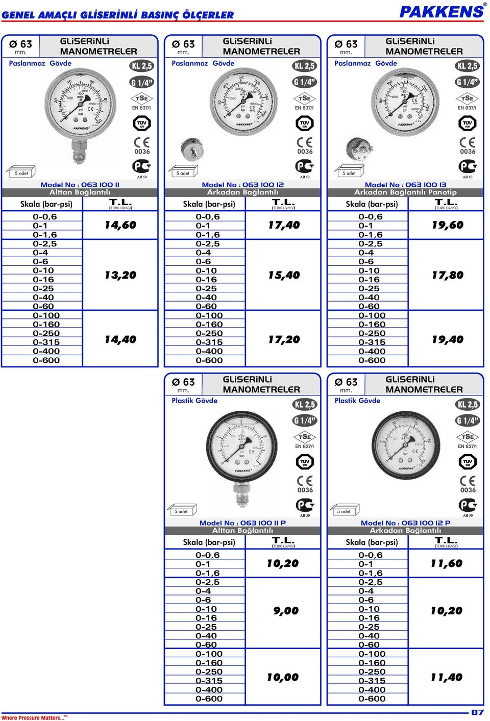 Panotip Skala (bar-psi) 0 19,60 17,80 19,40 Plastik Gövde GLiSERiNLi MANMETRELER G 1/8 1/4 Plastik Gövde GLiSERiNLi