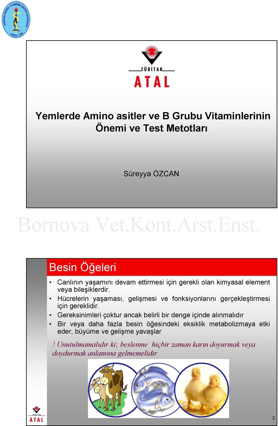 Hücrelerin yaşaması, gelişmesi ve fonksiyonlarını gerçekleştirmesi için gereklidir.