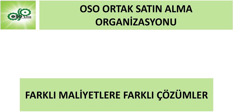 ORGANİZASYONU