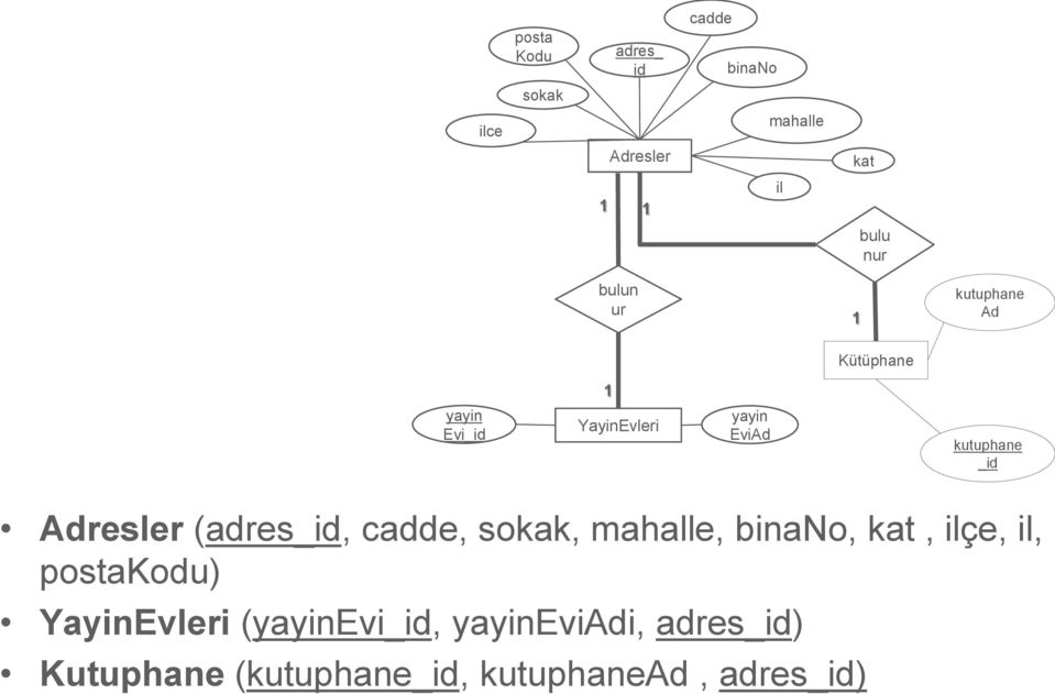 Adresler (adres_, cadde, sokak, mahalle, biano, kat, ilçe, il,