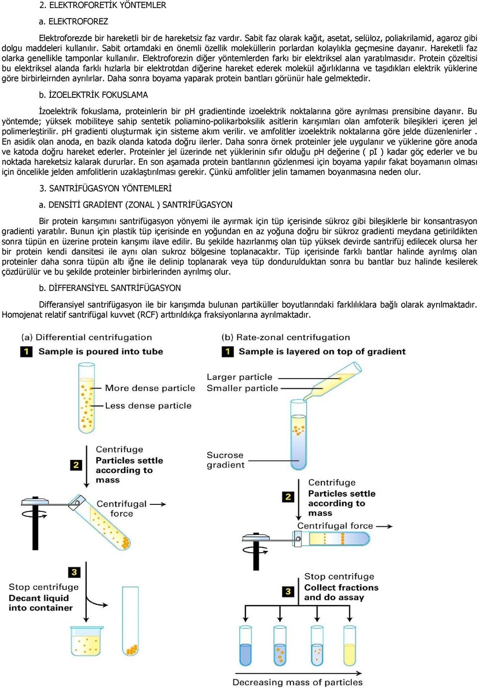 Elektroforezin diğer yöntemlerden farkı bir elektriksel alan yaratılmasıdır.