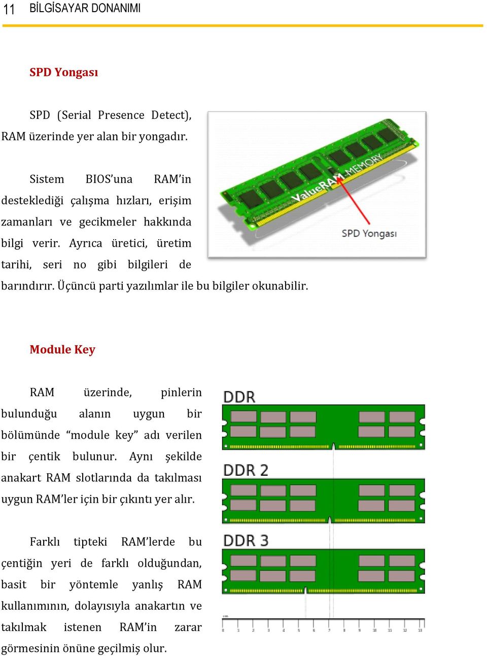 Üçüncü parti yazılımlar ile bu bilgiler okunabilir. Module Key RAM üzerinde, pinlerin bulunduğu alanın uygun bir bölümünde module key adı verilen bir çentik bulunur.