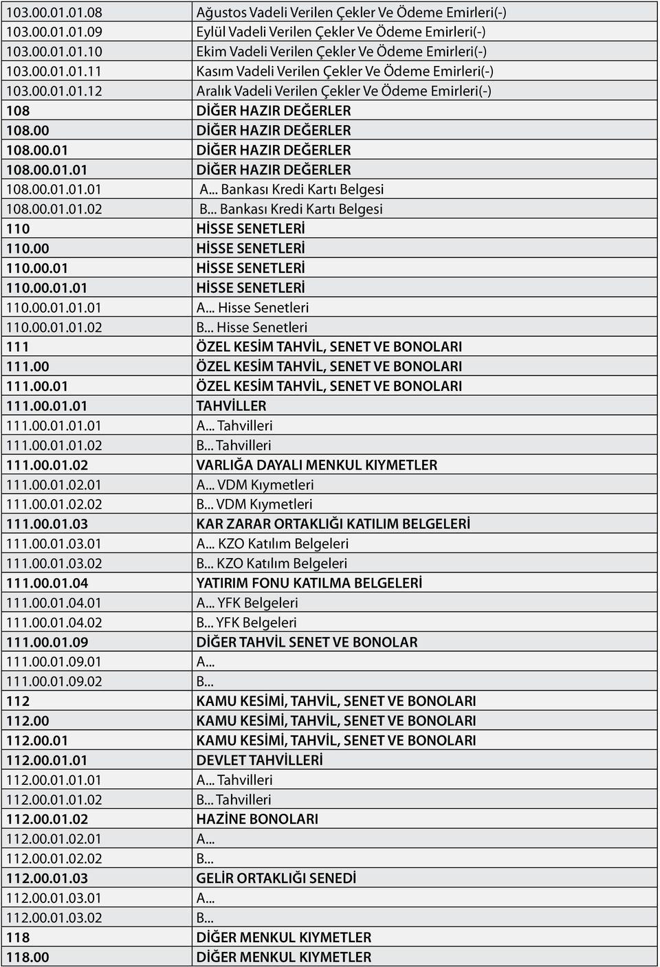 00.01.01 DİĞER HAZIR DEĞERLER 108.00.01.01.01 A... Bankası Kredi Kartı Belgesi 108.00.01.01.02 B... Bankası Kredi Kartı Belgesi 110 HİSSE SENETLERİ 110.00 HİSSE SENETLERİ 110.00.01 HİSSE SENETLERİ 110.