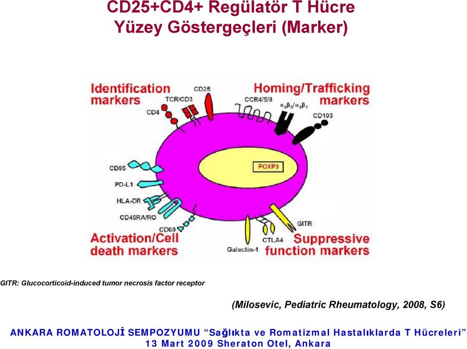 Glucocorticoid-induced tumor necrosis